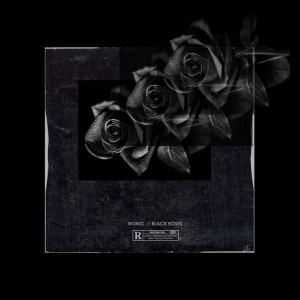 Album Black Roses (Explicit) from Ironic