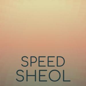 ดาวน์โหลดและฟังเพลง Speed Sheol พร้อมเนื้อเพลงจาก Shada Bongie