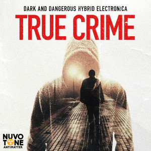 ดาวน์โหลดและฟังเพลง Brazen Vigilantes พร้อมเนื้อเพลงจาก Stefano Ruggeri