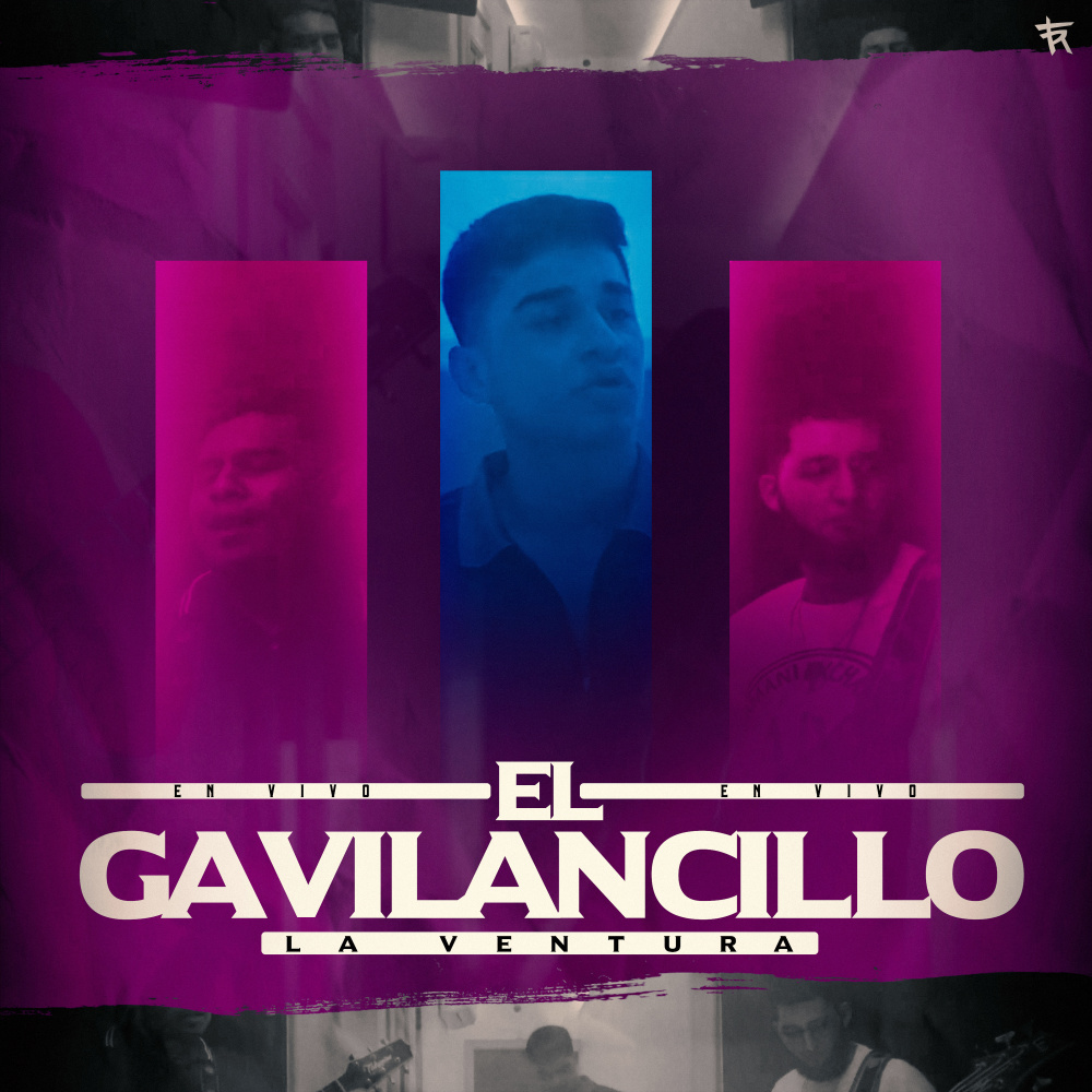 El Gavilancillo (En Vivo)