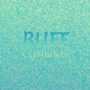 Various的专辑Buff Climbing