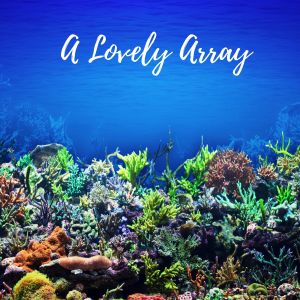 ดาวน์โหลดและฟังเพลง Pine Island พร้อมเนื้อเพลงจาก Masala Roo