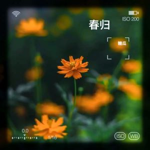 Album 春归 from 糖瓜