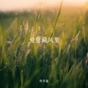 Album 爱意藏风里 from 杨李鑫