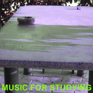 Album Music For Studying from 