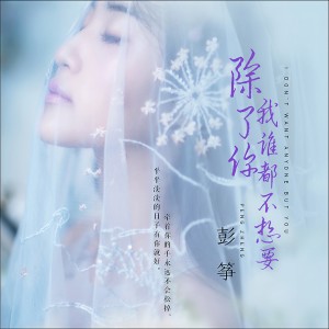 收聽彭箏的除了你我誰都不想要 (DJ默涵版)歌詞歌曲