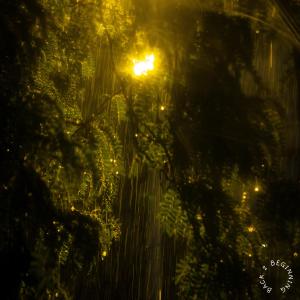 J DaCapo的專輯Back Since June (Explicit)