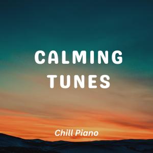 Chill Piano的專輯Calming Tunes