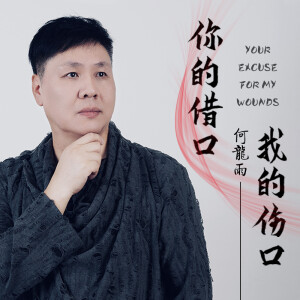 Album 你的借口我的伤口 from 何龙雨
