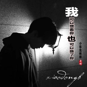 Listen to 我可以惯着你也可以换了你（DJ版） (伴奏) song with lyrics from 小东北