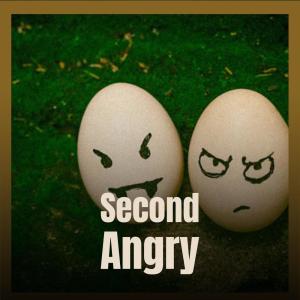 Album Second Angry oleh Various