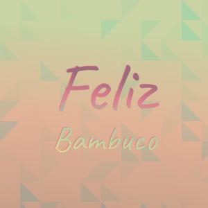 Various Artists的專輯Feliz Bambuco