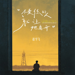 Listen to 不爱你的人就让她离开 (完整版) song with lyrics from 赵学飞