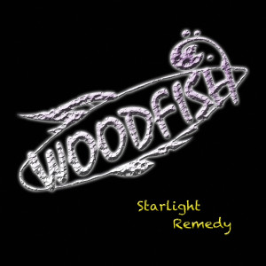 Dengarkan Interscope lagu dari Woodfish dengan lirik