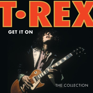 ดาวน์โหลดและฟังเพลง A Beard Of Stars พร้อมเนื้อเพลงจาก T. Rex