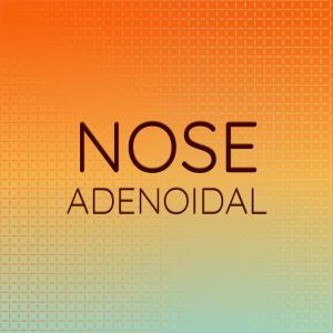 Various的专辑Nose Adenoidal