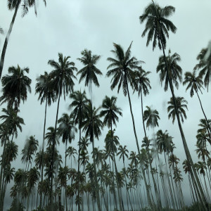 Listen to Rain song with lyrics from iluvu