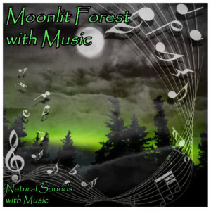 Natural Sounds with Music的專輯Moonlit Forest with Relaxation Music