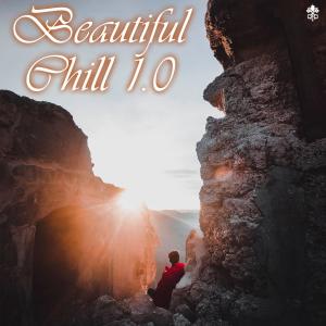 Album Beautiful Chill 1.0 from Various