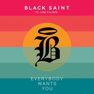 ดาวน์โหลดและฟังเพลง Everybody Wants You (feat. Sam Fischer) พร้อมเนื้อเพลงจาก Black Saint