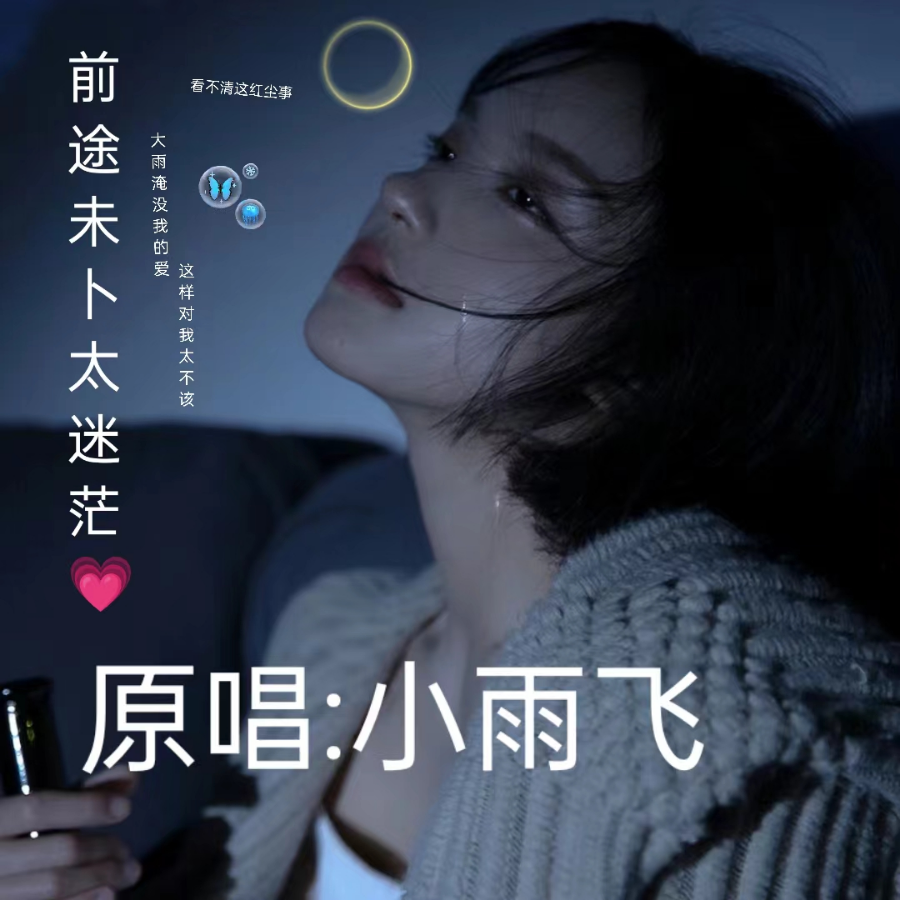 前途未卜太迷茫 (伴奏)