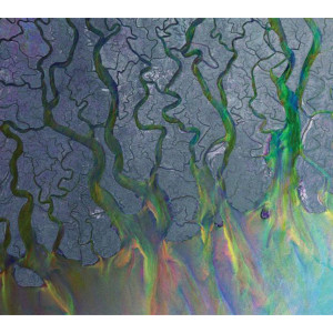 Listen to Ms song with lyrics from Alt-J