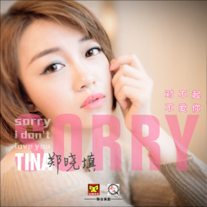 ดาวน์โหลดและฟังเพลง 对不起不爱你 พร้อมเนื้อเพลงจาก 郑晓填