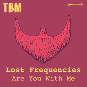 Album Are You With Me from Lost Frequencies