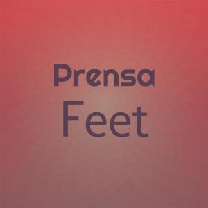 Listen to Por Que song with lyrics from Javiz Bese