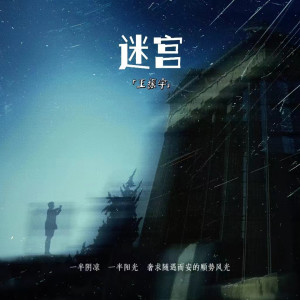 Album 迷宫 from 王振宇