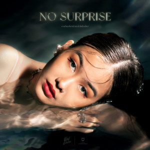 收听ว่าน วันวาน的การที่เธอทิ้งกันไปมันไม่ใช่เรื่องใหม่ (No Surprise) (Instrumental)歌词歌曲