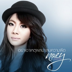 ดาวน์โหลดและฟังเพลง อย่าเอาเหตุผลมาลบความผิด พร้อมเนื้อเพลงจาก เนย Senorita