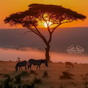 Album Echo of the Baobab from African Music Drums Collection