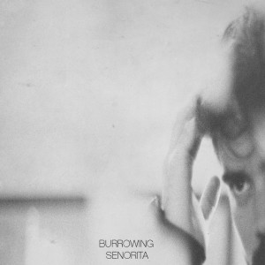 ดาวน์โหลดและฟังเพลง Senorita พร้อมเนื้อเพลงจาก Burrowing