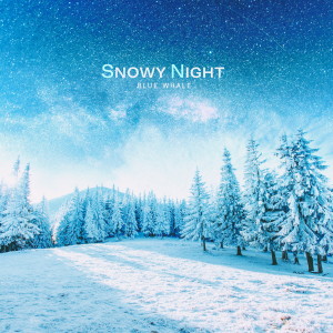 Album Snowy Night from Blue Whale