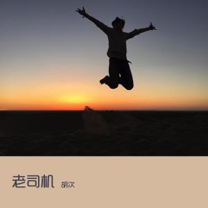 Dengarkan 左一年 又一年 lagu dari 胡次 dengan lirik