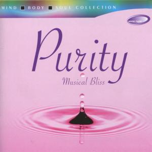 ดาวน์โหลดและฟังเพลง Mara Ghatma Shrinathji พร้อมเนื้อเพลงจาก Rakesh Chaurasia