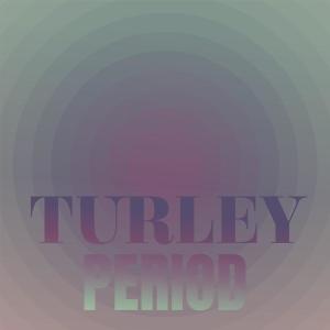 Various Artists的專輯Turley Period