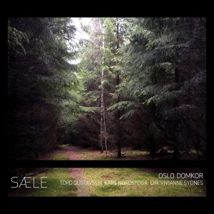 ดาวน์โหลดและฟังเพลง Solrenning sæle, som stiller all lengsel พร้อมเนื้อเพลงจาก Oslo Domkor