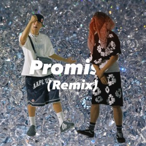 Listen to promise (Remix) song with lyrics from Zzen