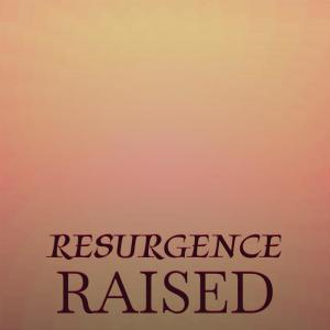 Album Resurgence Raised from Various