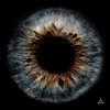 default album img