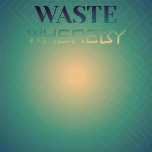 Various Artists的專輯Waste Whereby