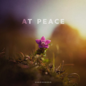 Vandenberg的专辑At Peace