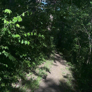 收聽Grimz的foreverlostinmyownmind歌詞歌曲