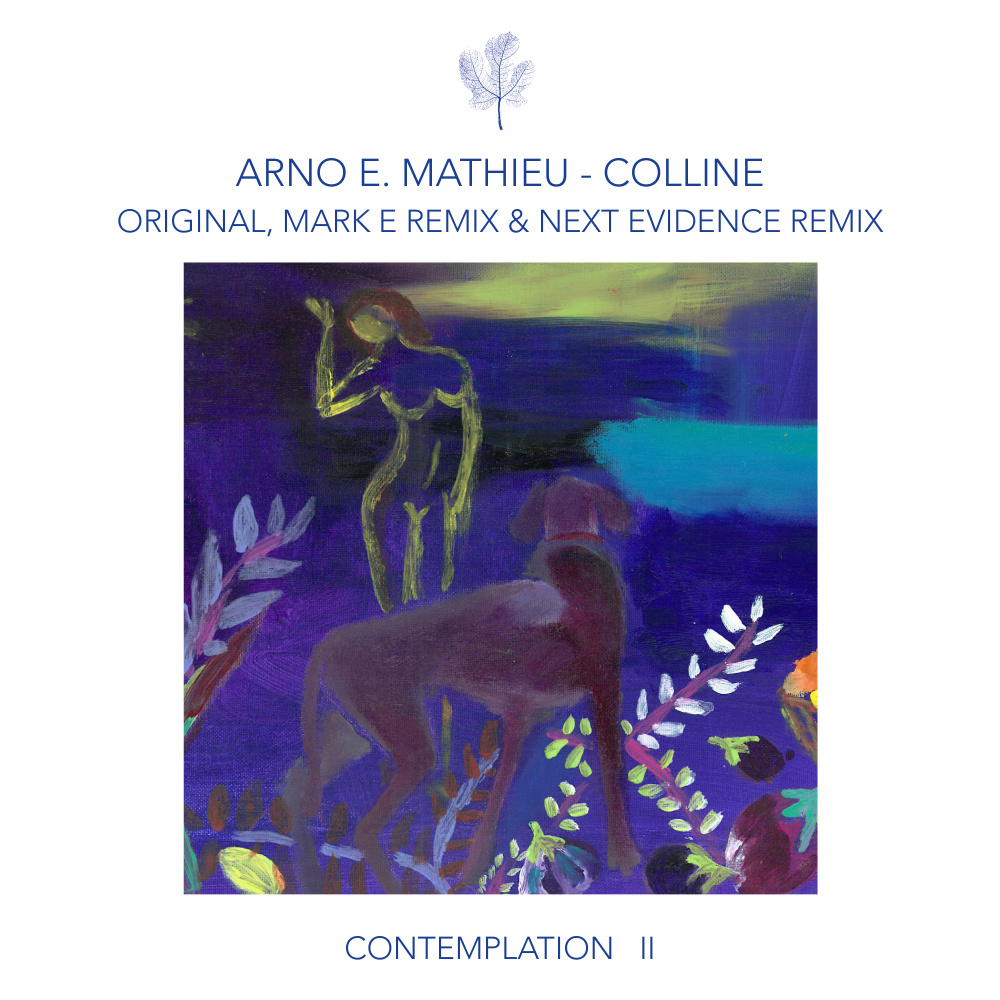 Colline Au Zenith (Next Evidence Dub)