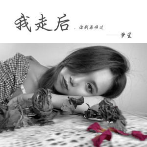 Listen to 我走后 (女声版伴奏) song with lyrics from 梦笙