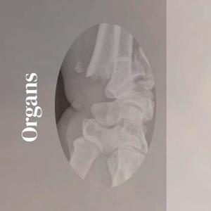 ดาวน์โหลดและฟังเพลง Obtuse Tone พร้อมเนื้อเพลงจาก Lony Ipon