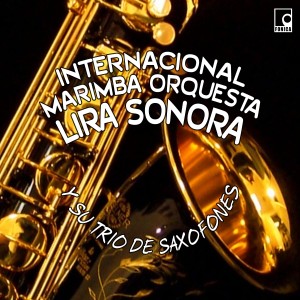 收聽Internacional Marimba Orquesta Lira Sonora的Luces de New York歌詞歌曲