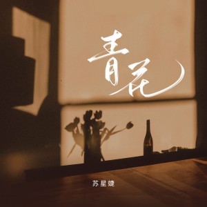 Dengarkan lagu 青花 nyanyian 苏星婕 dengan lirik